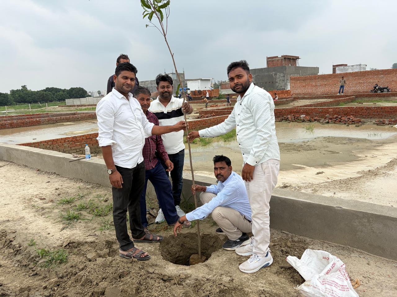 Tree plantation drive at the site