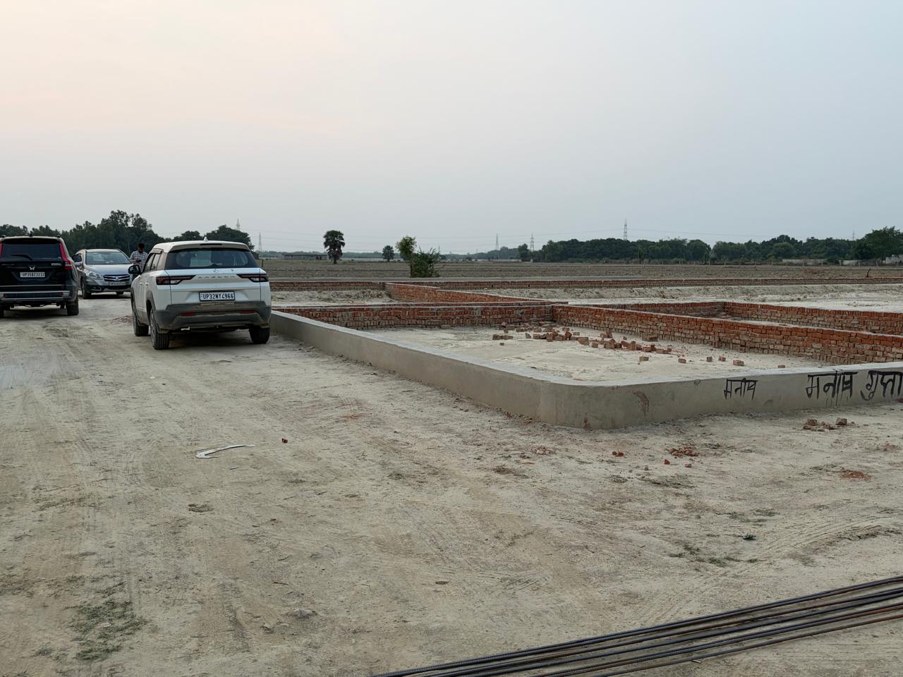 Sapling planted along an internal road